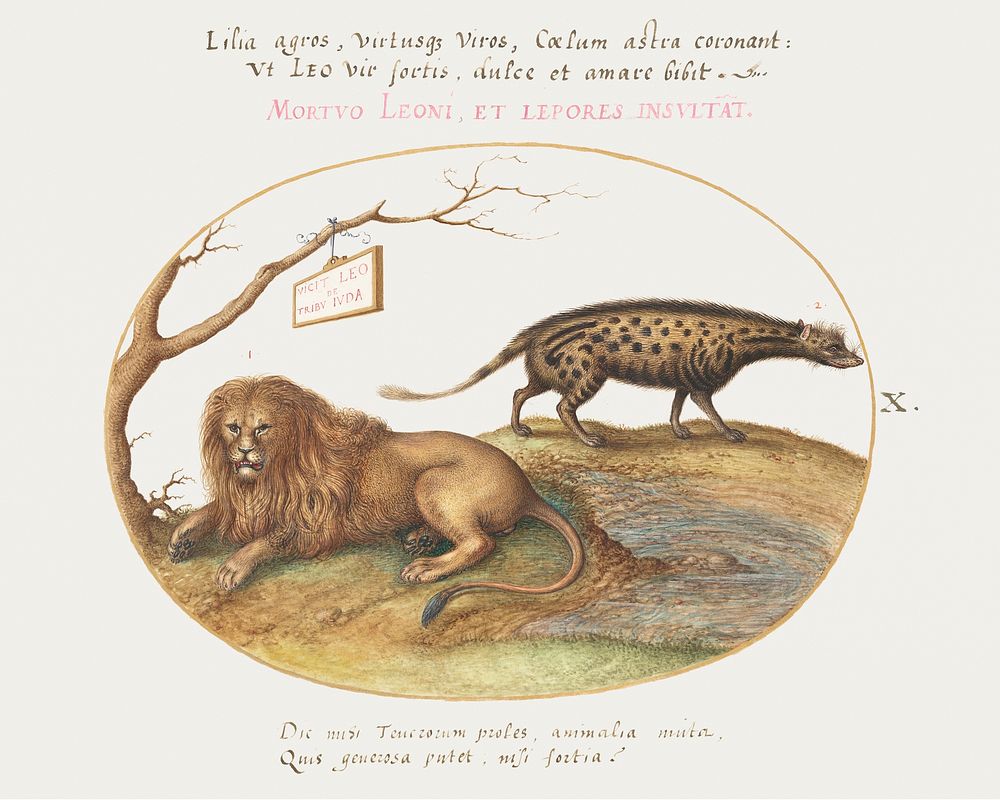 A Lion and a Civet Cat (1575&ndash;1580) painting in high resolution by Joris Hoefnagel. Original from The National Gallery…