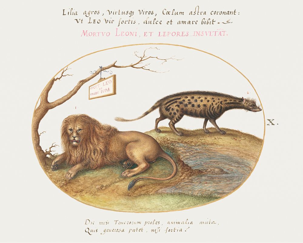 A Lion and a Civet Cat (1575–1580) painting in high resolution by Joris Hoefnagel. Original from The National Gallery of…