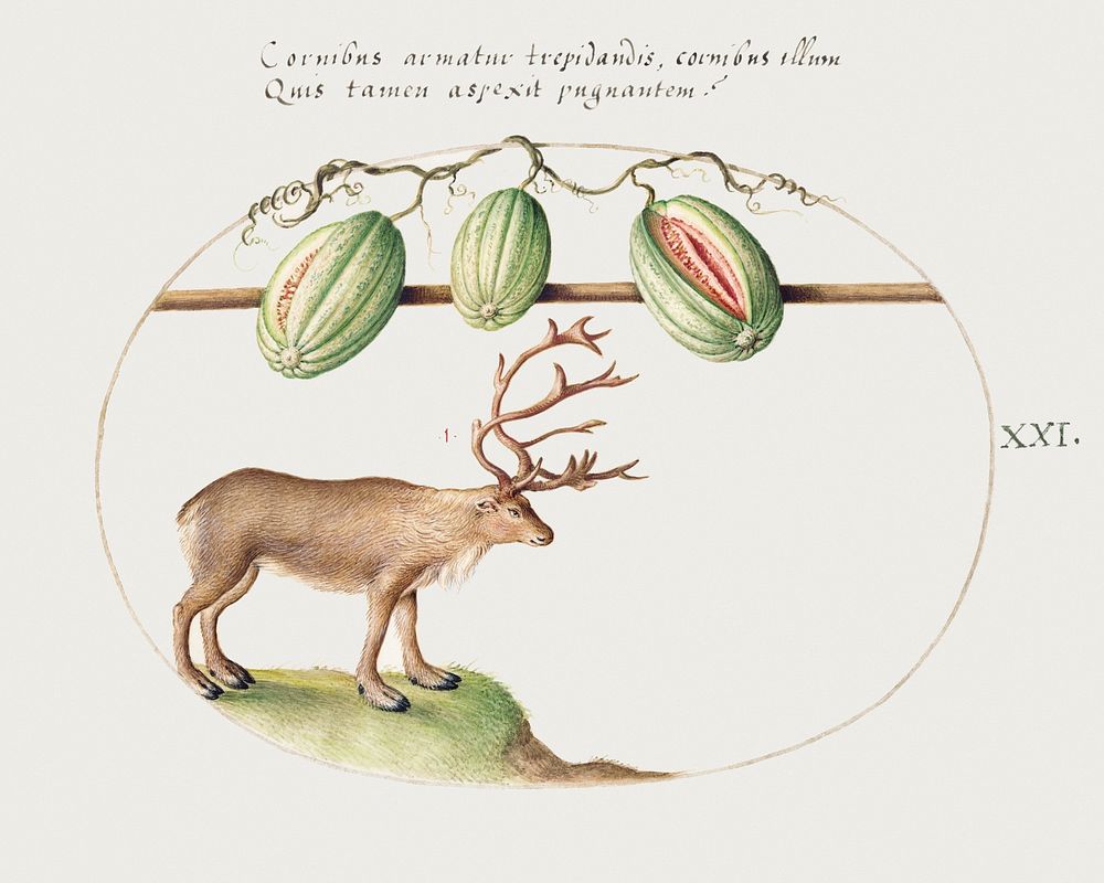 Reindeer with Melons (1575&ndash;1580) painting in high resolution by Joris Hoefnagel. Original from The National Gallery of…