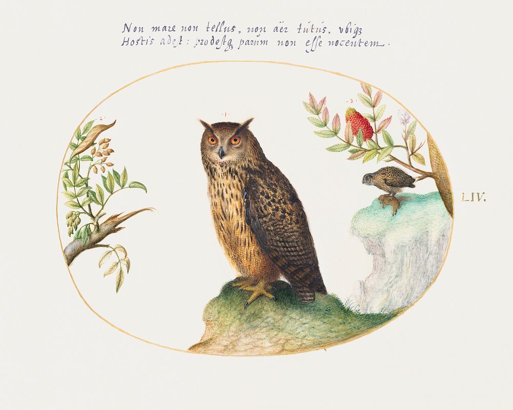 Owl with a Second in the Distance Eating a Rabbit (1575&ndash;1580) painting in high resolution by Joris Hoefnagel. Original…