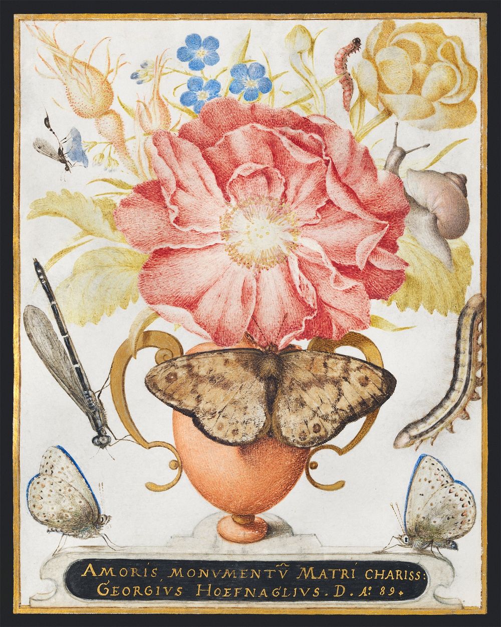 Still Life with Flowers, a Snail and Insects (1589) painting in high resolution by Joris Hoefnagel. Original from The MET…
