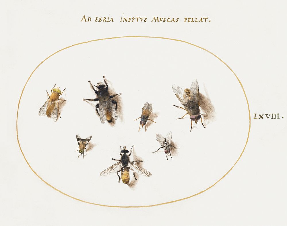 Seven Bees and Flies (1575&ndash;1580) painting in high resolution by Joris Hoefnagel. Original from The National Gallery of…