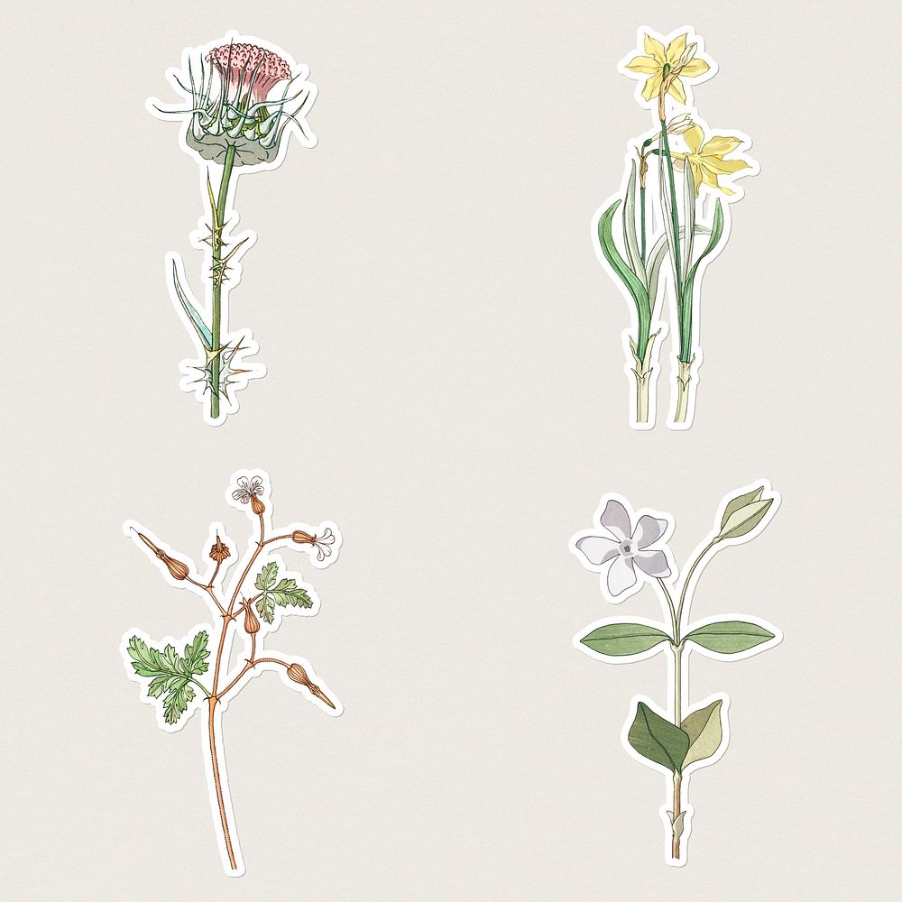 Vintage flower sticker with white border set design element