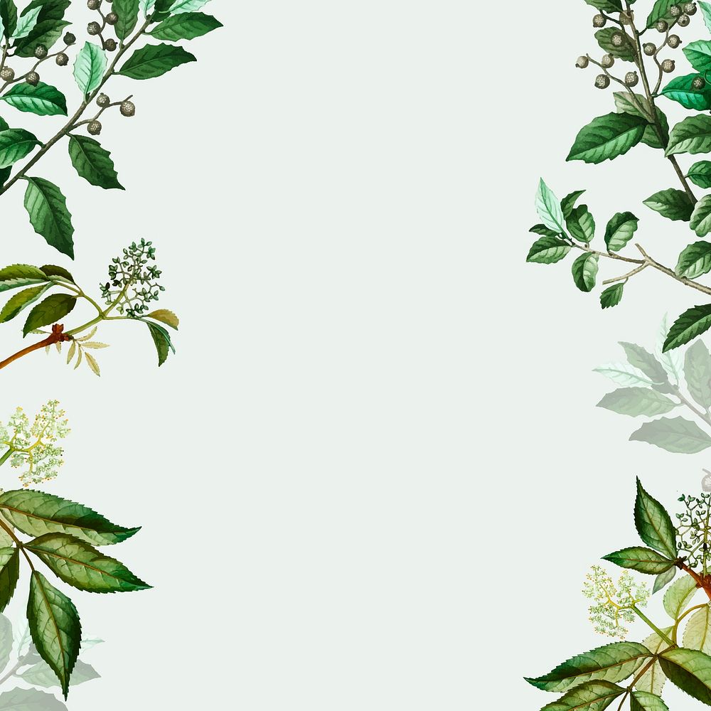 Vintage botanical frame design vector