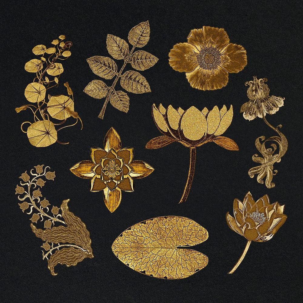 Vintage gold flower and leaf illustration design element set