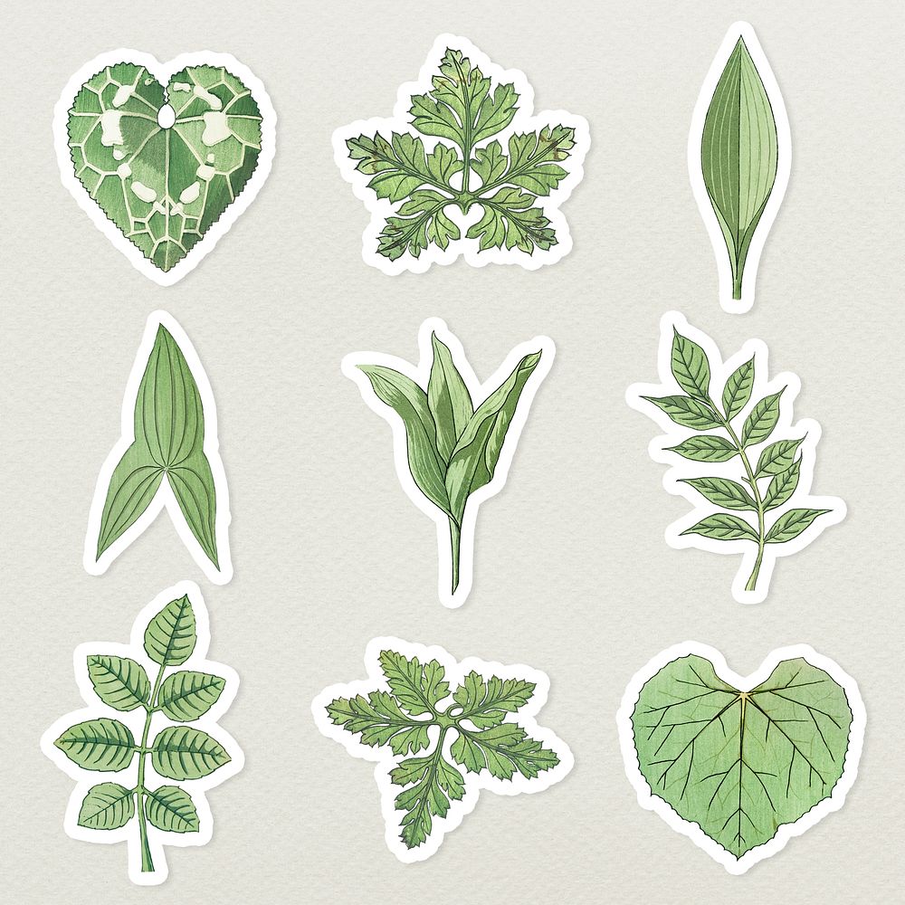 Vintage leaf sticker with white border set design element