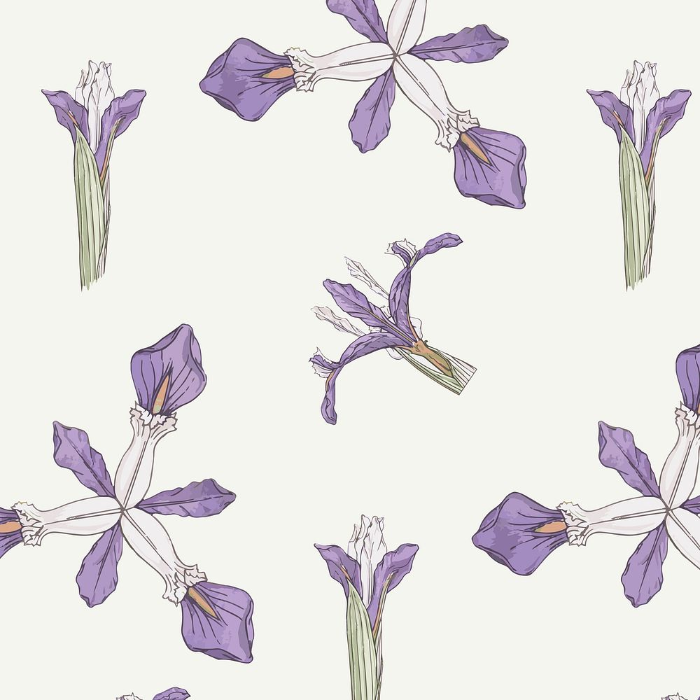 Iris flower vector pattern design resource