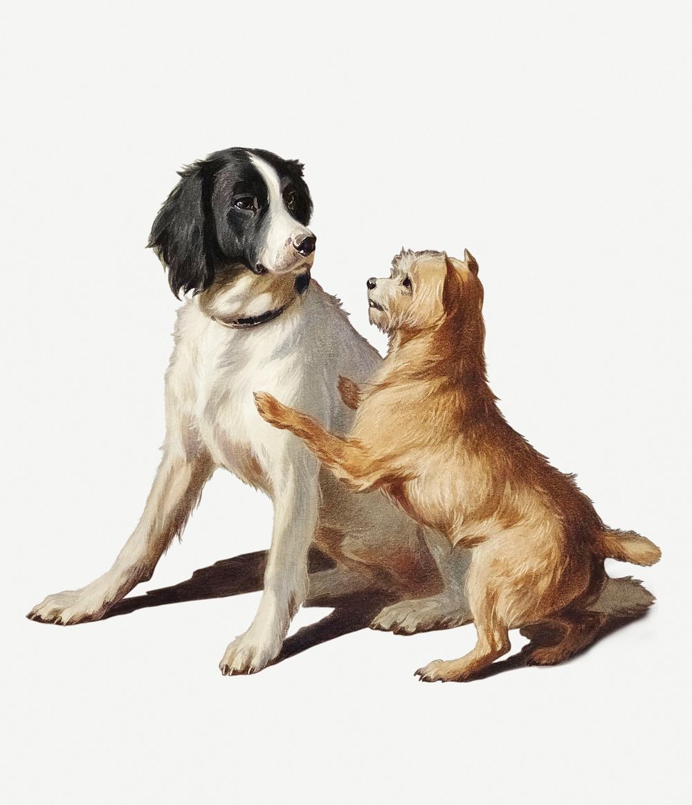 Painting of two playful dogs 