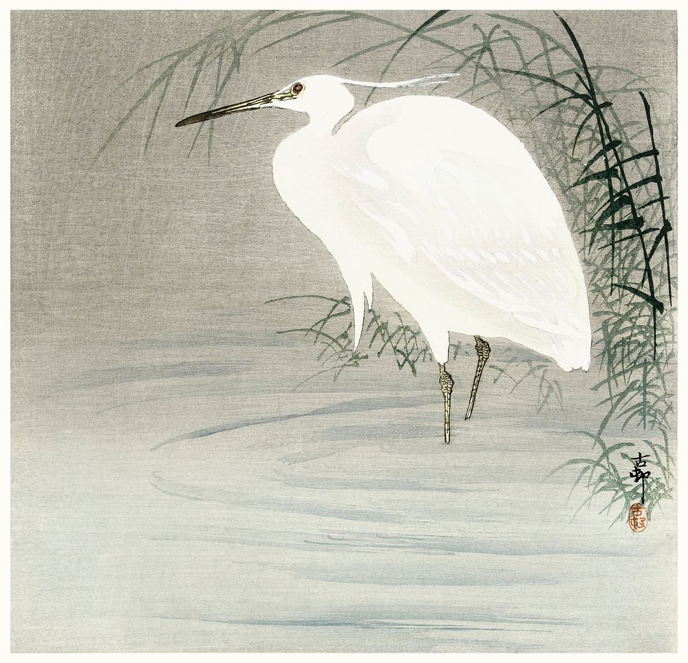 Little egret (1900-1930) by Ohara Koson (1877-1945). Original from The Rijksmuseum. Digitally enhanced by rawpixel.