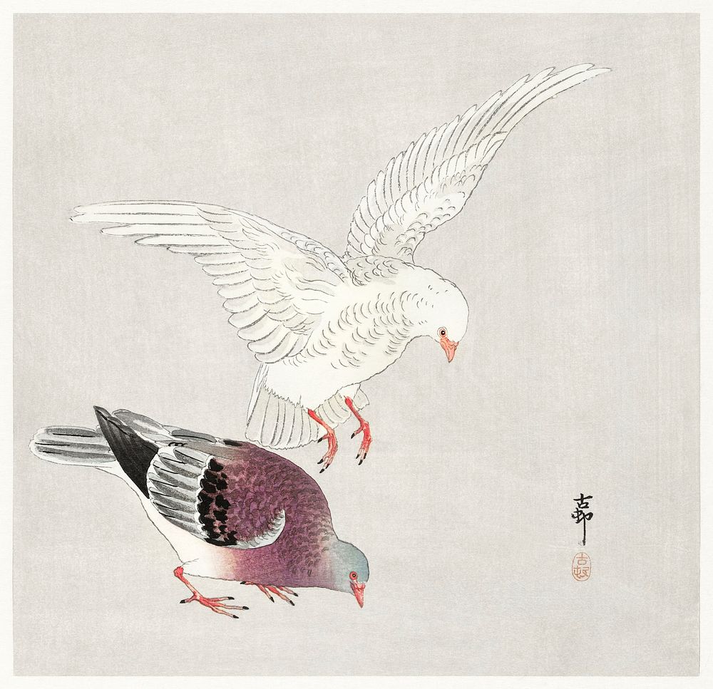 Two pigeons (1877-1945) by Ohara Koson (1877-1945). Original from The Rijksmuseum. Digitally enhanced by rawpixel.