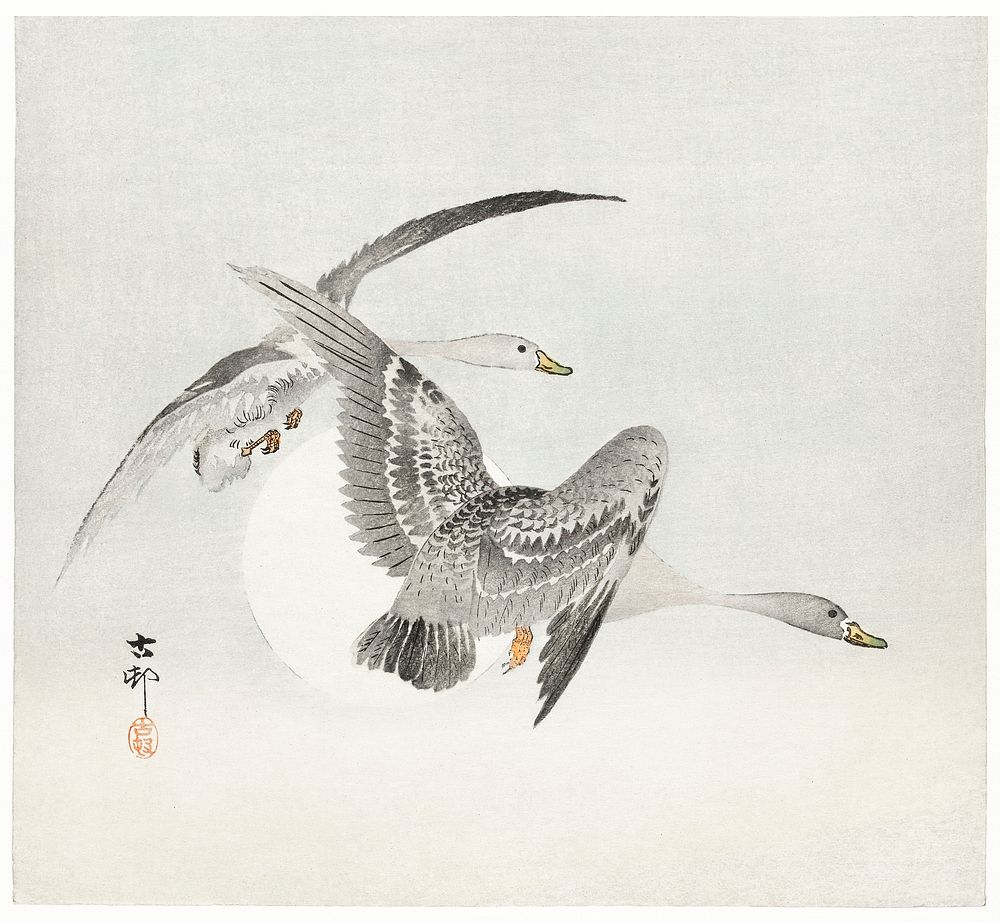 Two colt geese in flight (1900 - 1930) by Ohara Koson (1877-1945). Original from The Rijksmuseum. Digitally enhanced by…