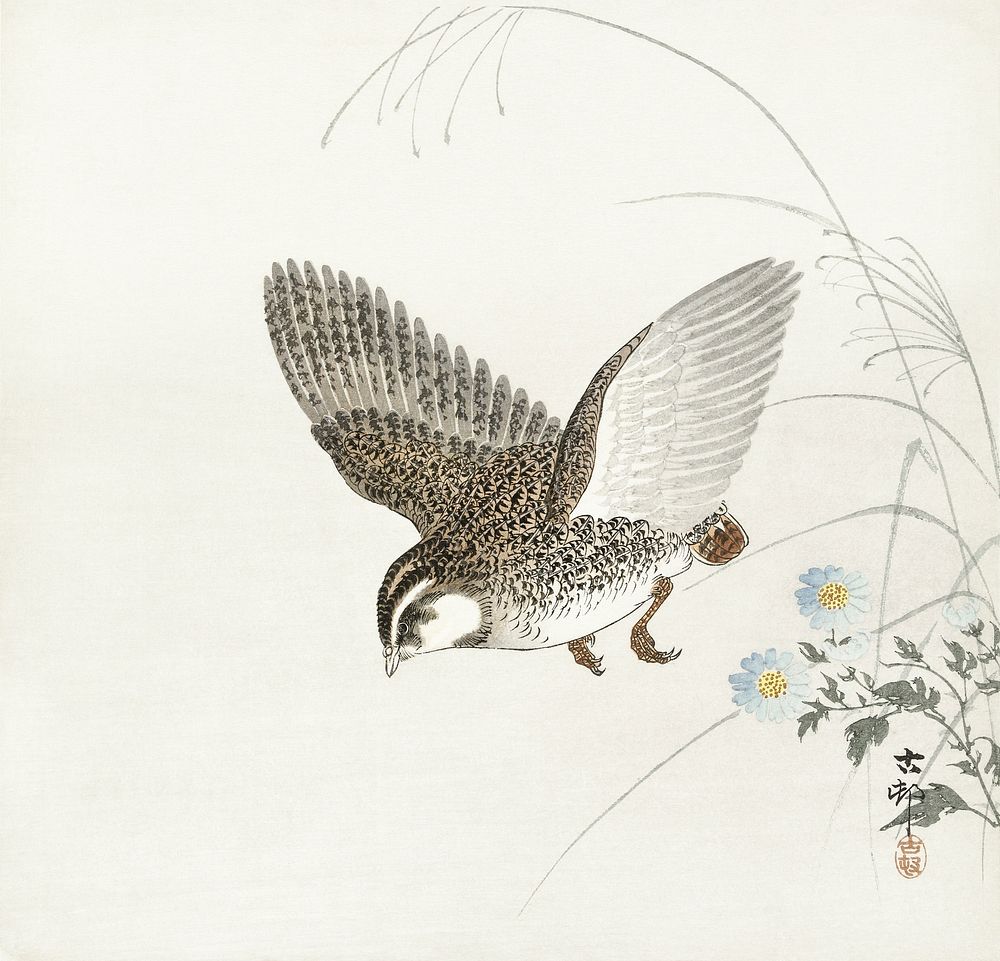 Flying quail (1900 - 1930) by Ohara Koson (1877-1945). Original from The Rijksmuseum. Digitally enhanced by rawpixel.