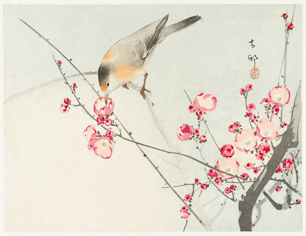 Songbird on blossom branch (1900 - 1936) by Ohara Koson (1877-1945). Original from The Rijksmuseum. Digitally enhanced by…