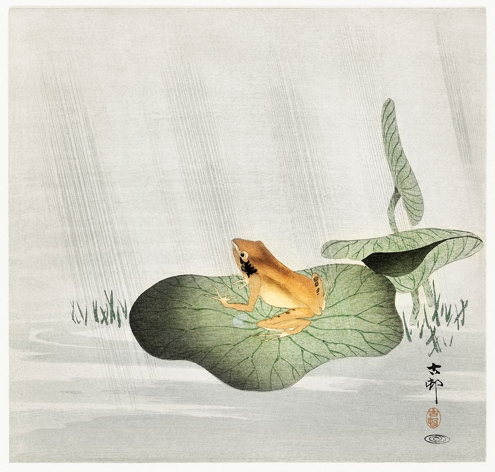 Frog on lotus leaf (1900 - 1930) by Ohara Koson (1877-1945). Original from The Rijksmuseum. Digitally enhanced by rawpixel.