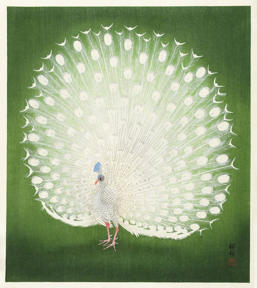 Peacock (1925 - 1936) by Ohara Koson (1877-1945). Original from The Rijksmuseum. Digitally enhanced by rawpixel.