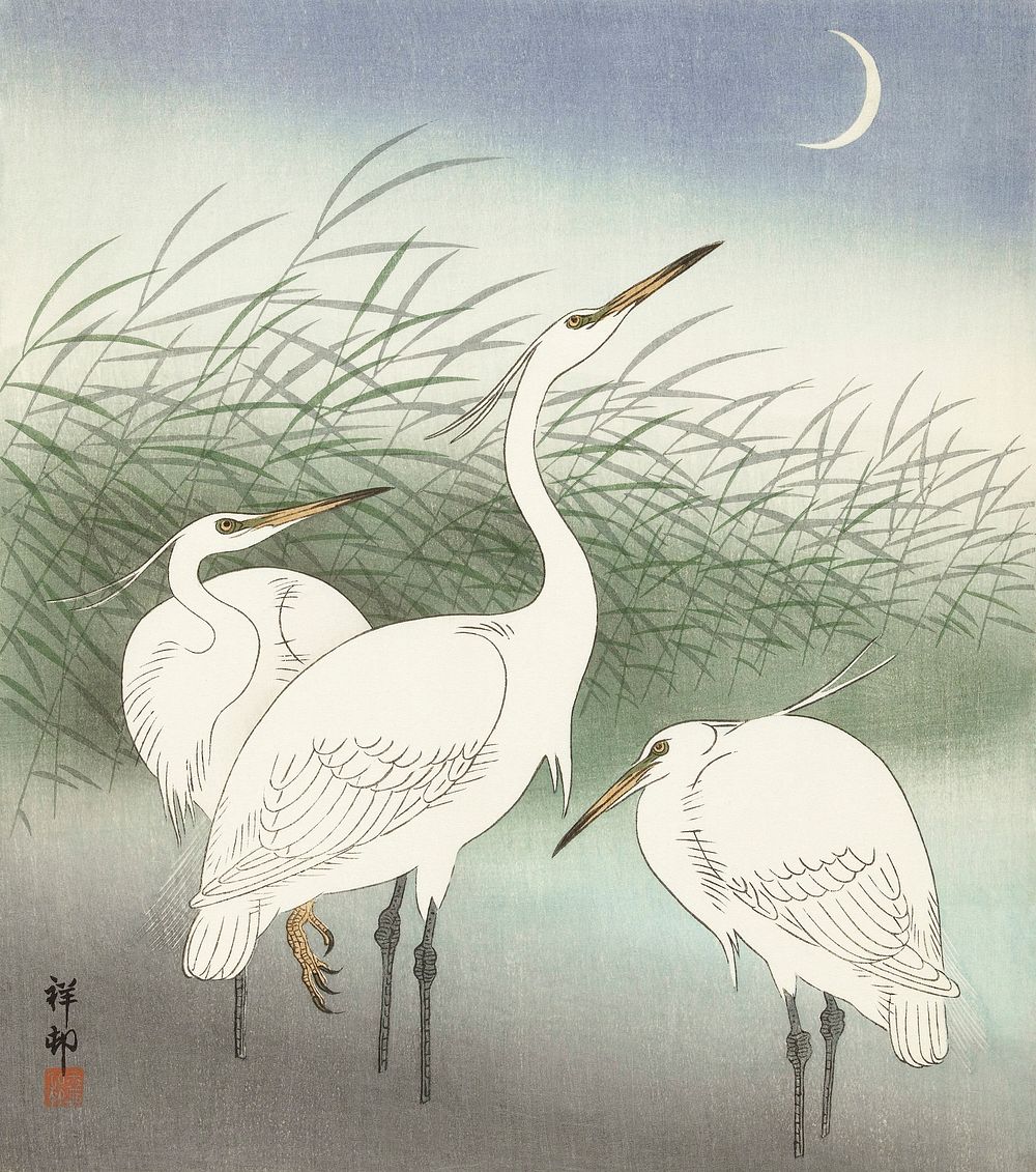 Herons in shallow water (1934) by Ohara Koson (1877-1945). Original from The Rijksmuseum. Digitally enhanced by rawpixel.