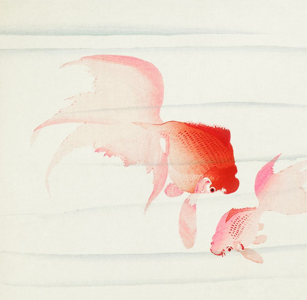 Gold fish (1900 - 1936) by Ohara Koson (1877-1945). Original from The Rijksmuseum. Digitally enhanced by rawpixel.