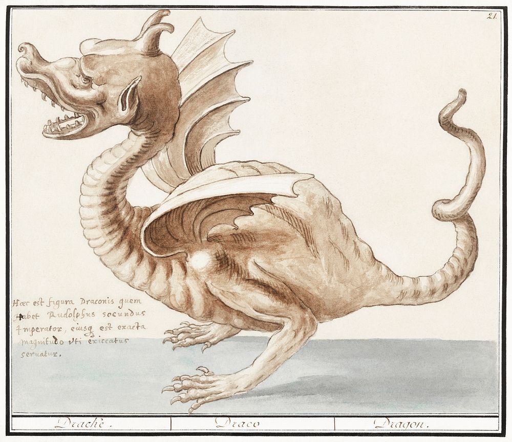 Dragon (1596&ndash;1610) by Anselmus Bo&euml;tius de Boodt. Original from the Rijksmuseum. Digitally enhanced by rawpixel.