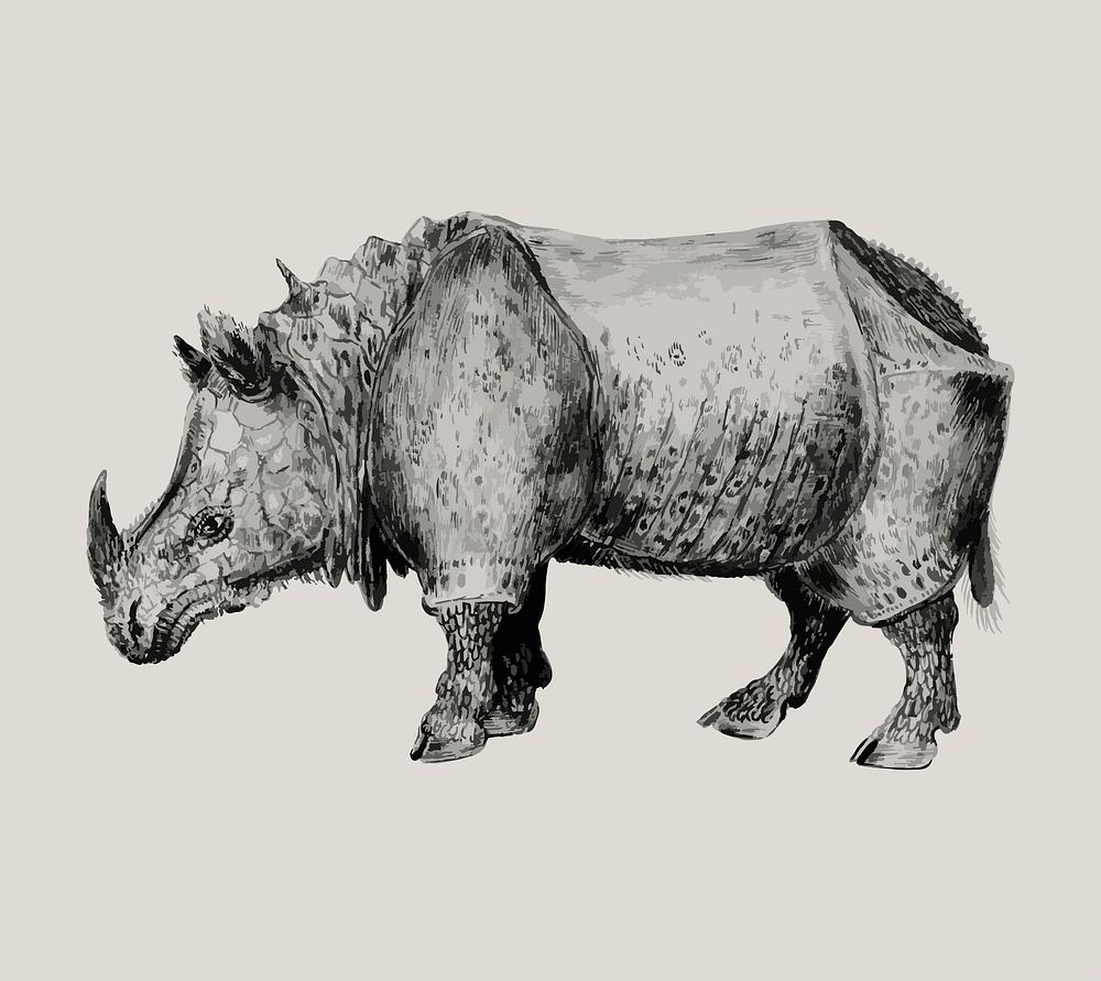 Vintage Indian rhinoceros illustration in vector