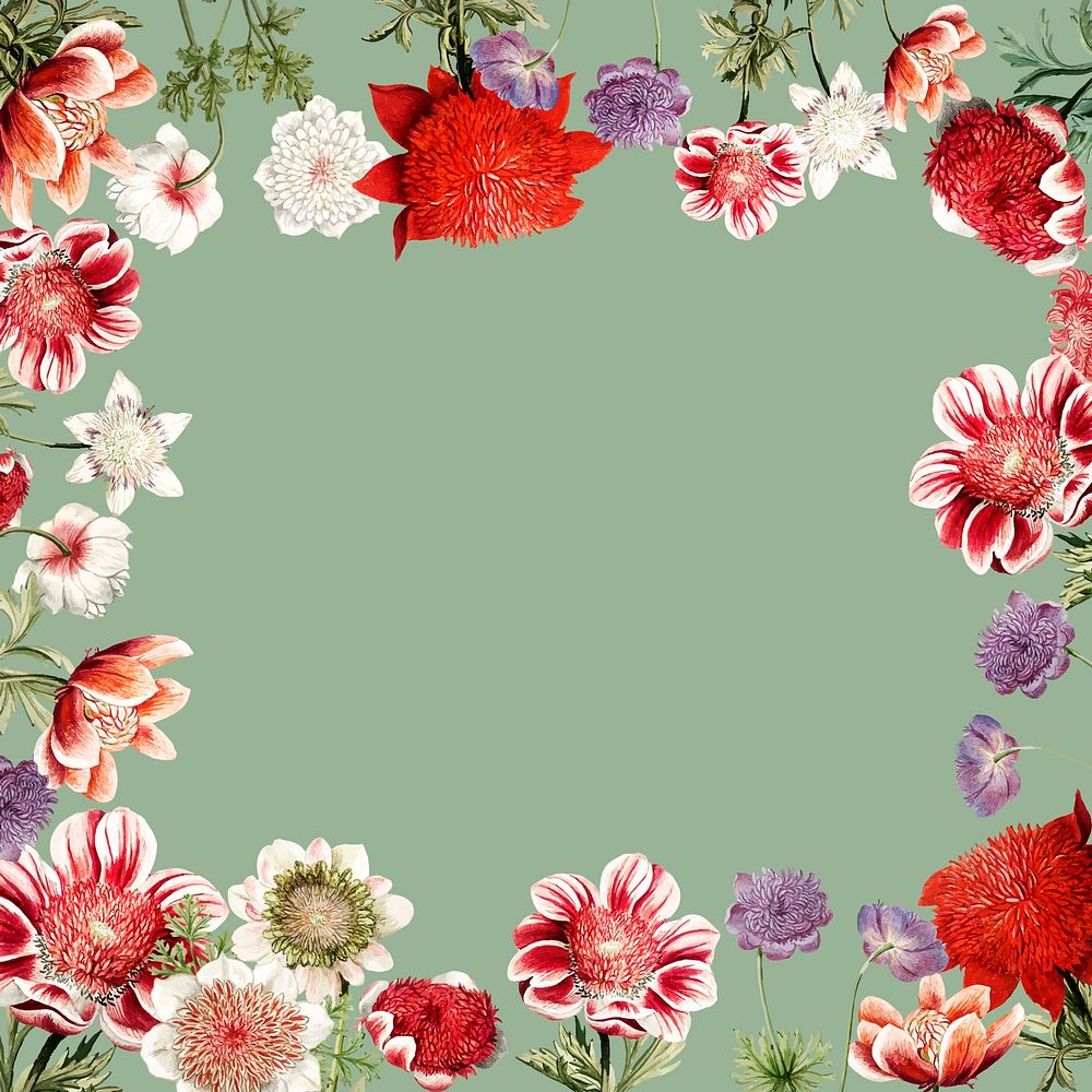 Hand drawn red anemone flower frame with design space