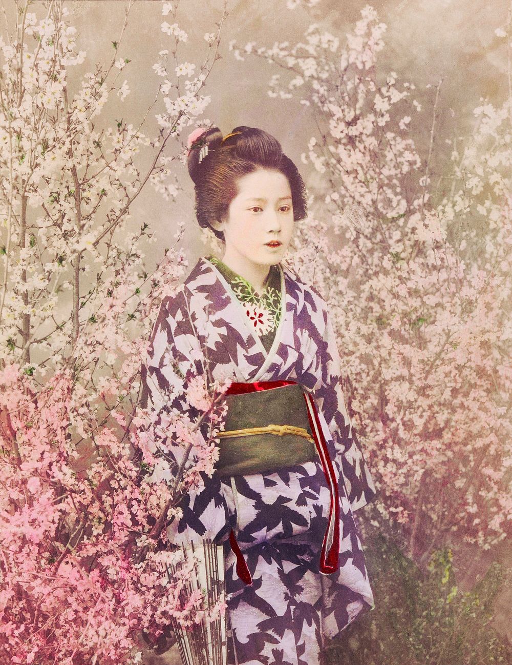 Beautiful photomechanical prints of a Geisha and Cherry Blossom (1887&ndash;1897) by Ogawa Kazumasa. Original from The…