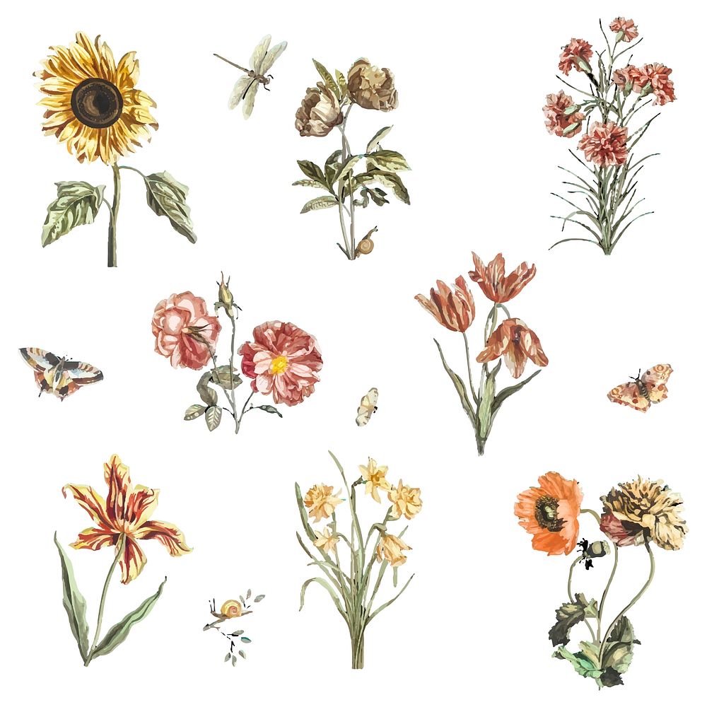 Vintage illustration of various flowers