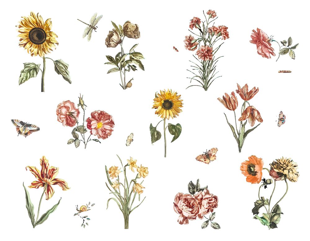 Vintage illustration of various flowers