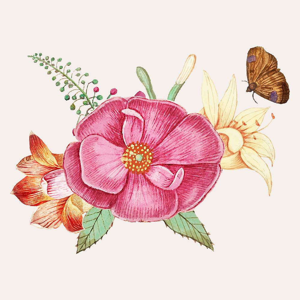 Vintage wild rose flower illustration vector