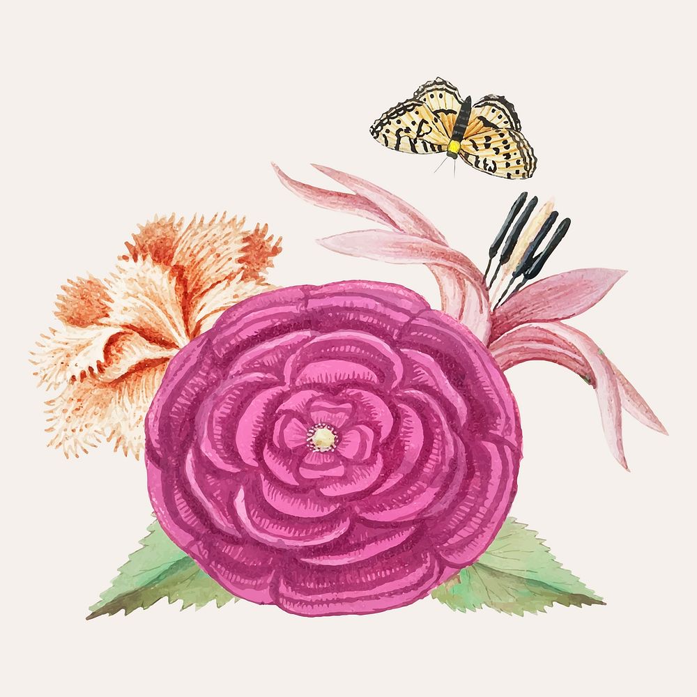 Vintage alcae flower illustration vector
