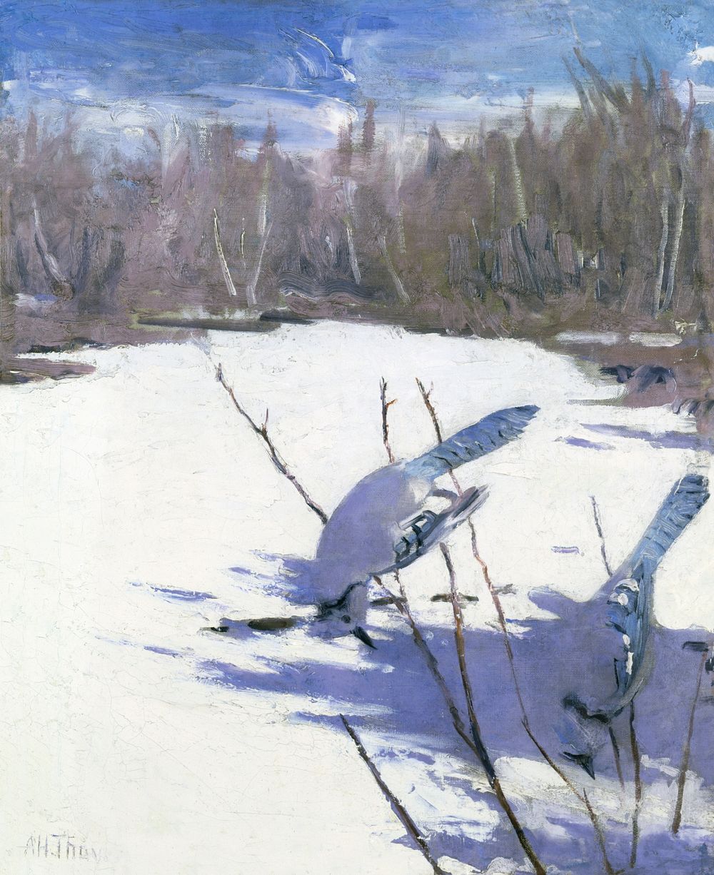 Blue Jays in Winter, study for book Concealing Coloration in the Animal Kingdom (ca.1905&ndash;1909) painting in high…