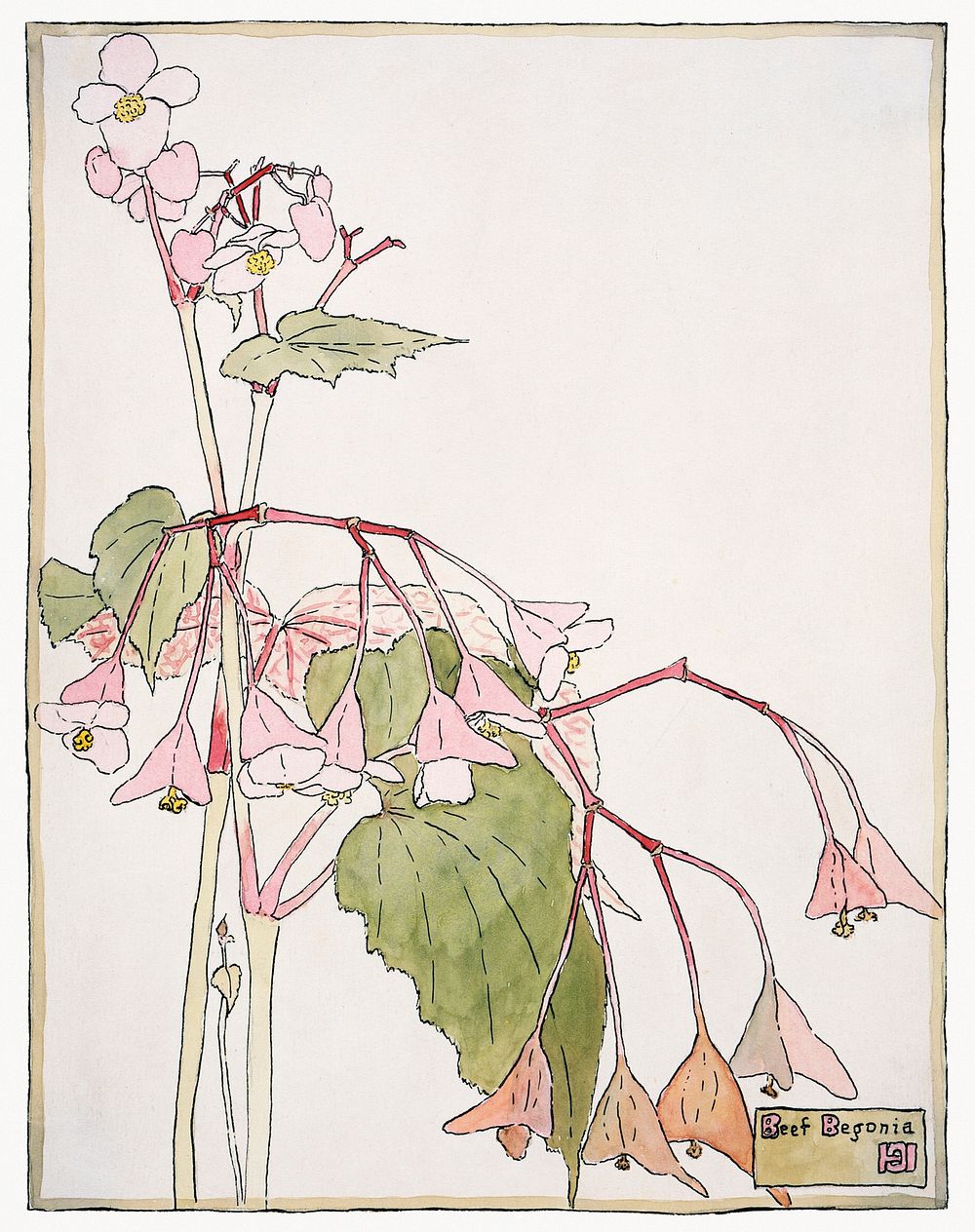 Beef Begonia (1915) by Hannah Borger Overbeck. Original from The Los Angeles County Museum of Art. Digitally enhanced by…