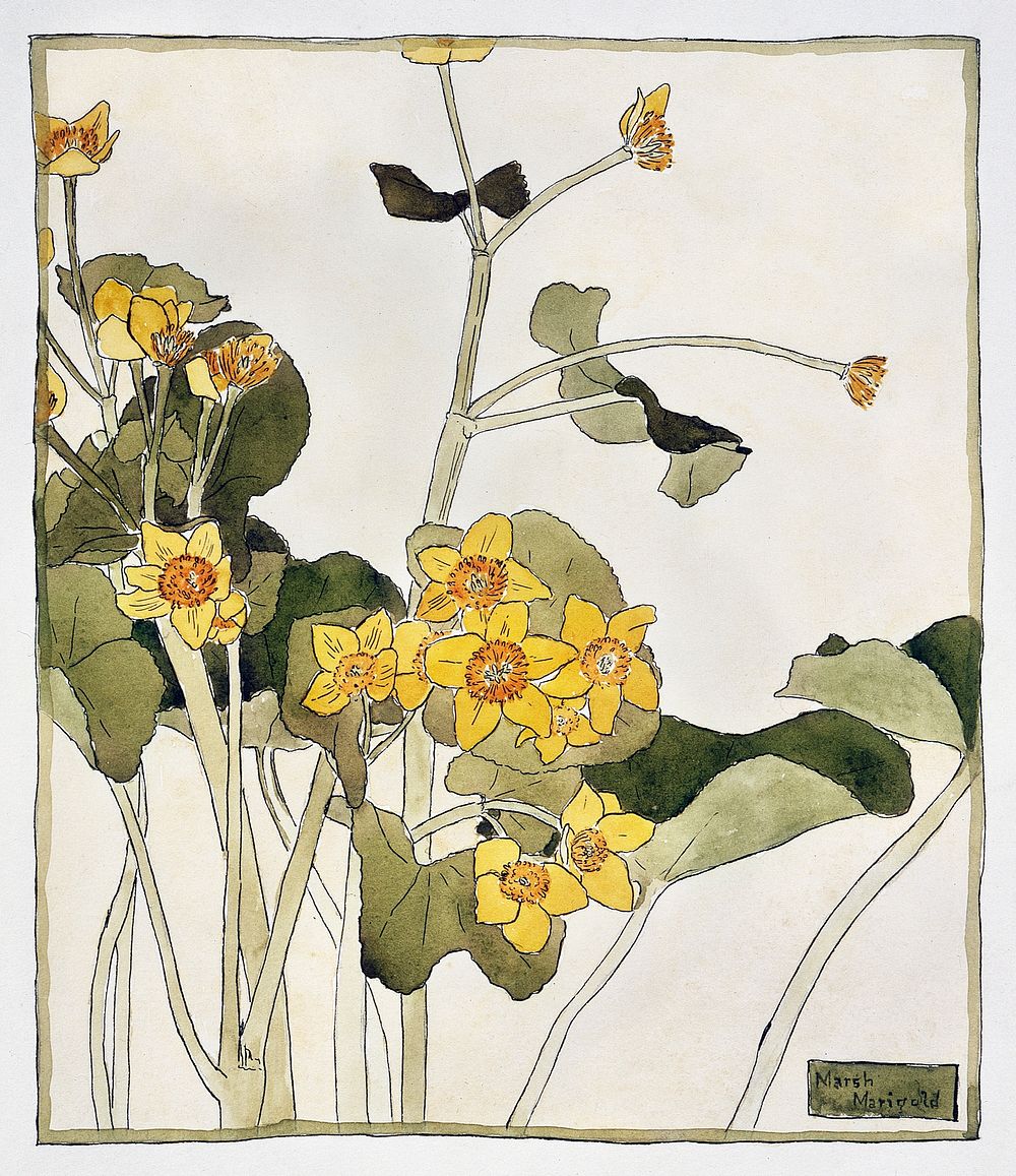 Marsh Marigold (1915) by Hannah Borger Overbeck. Original from The Los Angeles County Museum of Art. Digitally enhanced by…