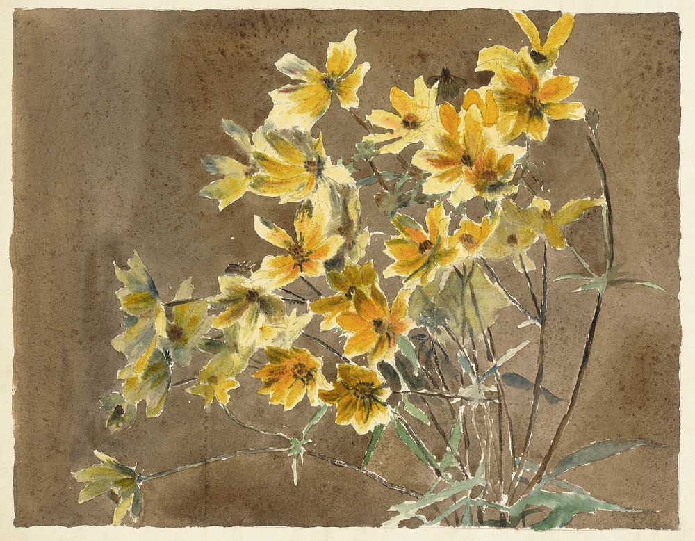 Yellow Flower with Border (1915) by Hannah Borger Overbeck. Original from The Los Angeles County Museum of Art. Digitally…