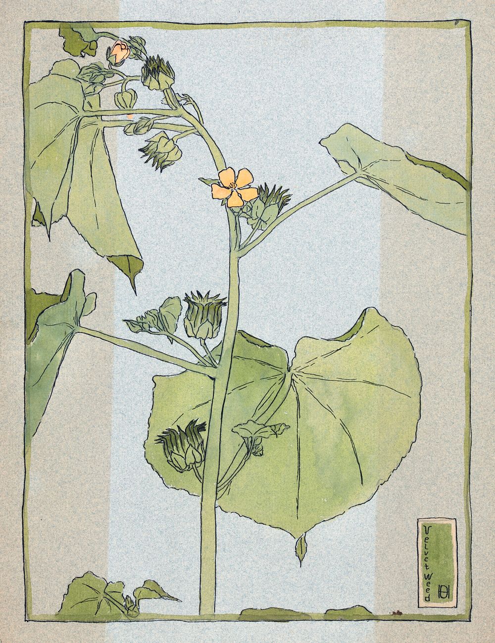 Velvet Weed (1915) by Hannah Borger Overbeck. Original from The Los Angeles County Museum of Art. Digitally enhanced by…