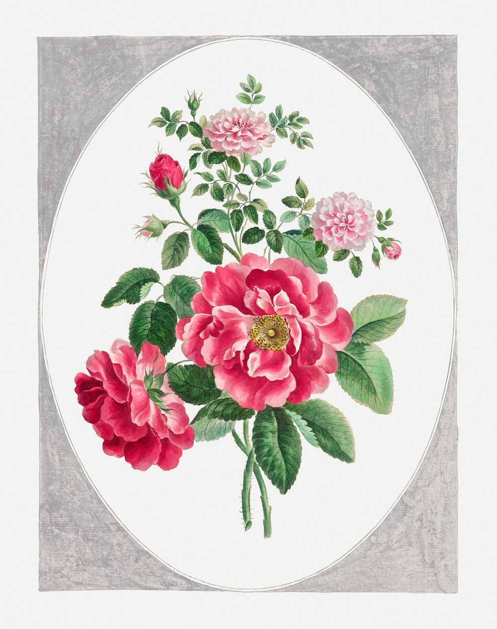 Pink rose psd vintage floral art print, remixed from artworks by John Edwards