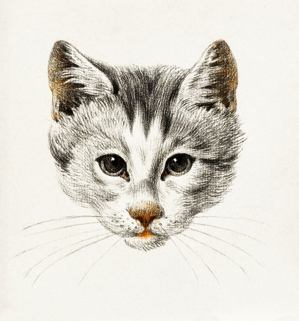 Sketch of a cat (1812) by Jean Bernard (1775-1883). Original from The Rijksmuseum. Digitally enhanced by rawpixel.