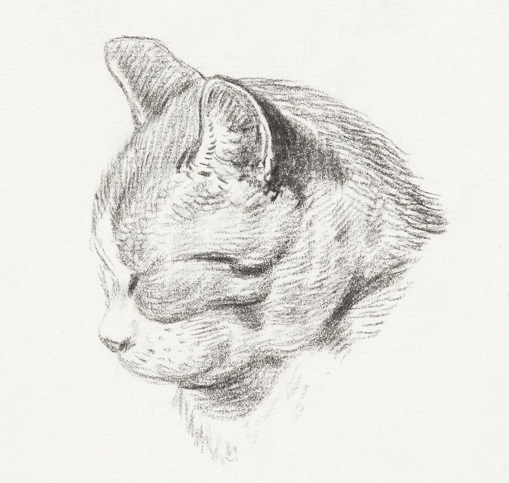 Sketch of a cat (1813) by Jean Bernard (1775-1883). Original from The Rijksmuseum. Digitally enhanced by rawpixel.