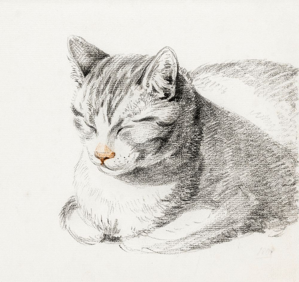 Sketch of a cat (1808) by Jean Bernard (1775-1883). Original from The Rijksmuseum. Digitally enhanced by rawpixel.