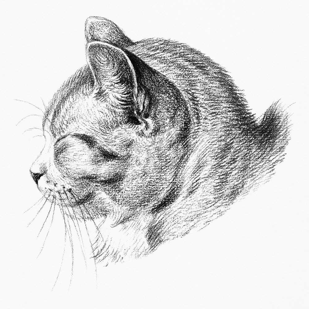 Vintage cat sticker, animal black and white sketch psd, remix from the artwork of Jean Bernard