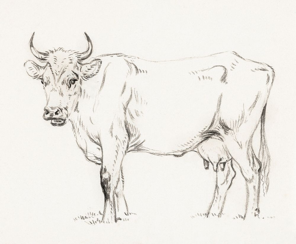 Standing cow (1828) by Jean Bernard (1775-1883). Original from The Rijksmuseum. Digitally enhanced by rawpixel.