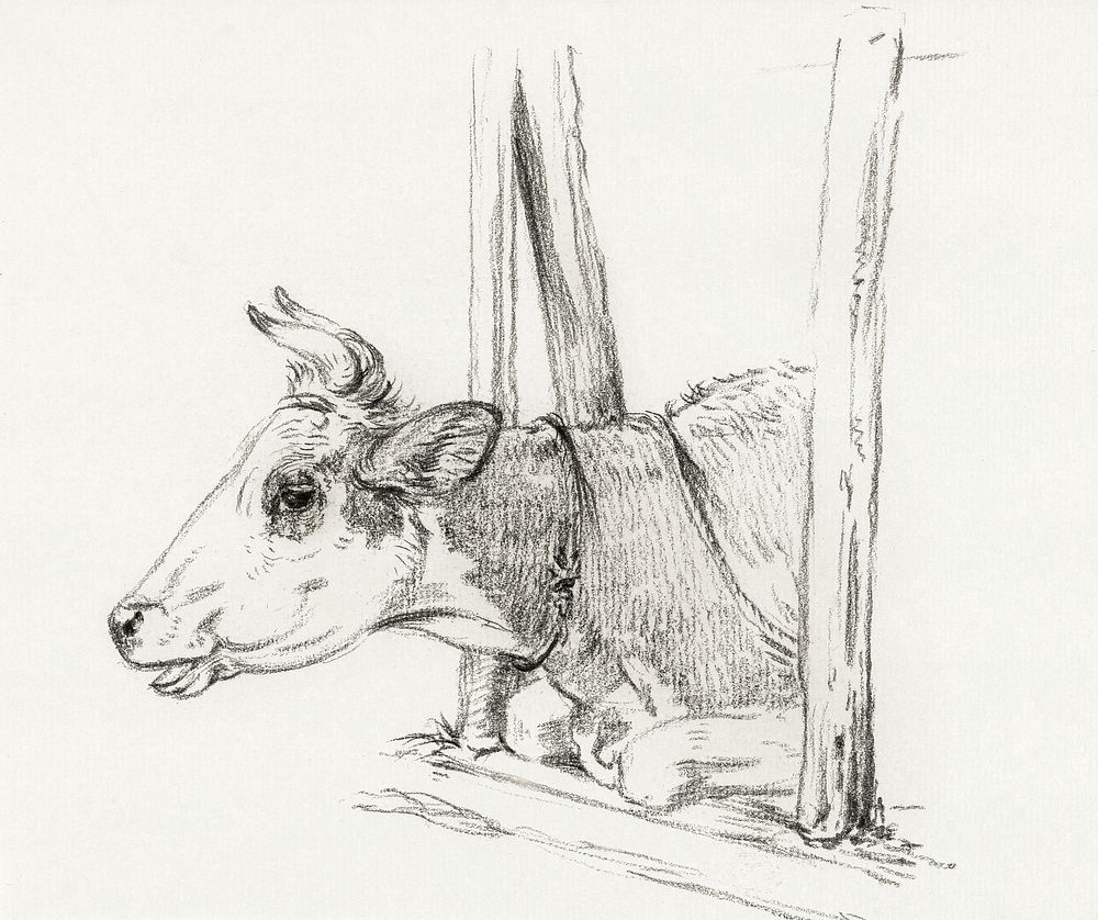 Head of a cow, lying in a stable (1826) by Jean Bernard (1775-1883). Original from The Rijksmuseum. Digitally enhanced by…