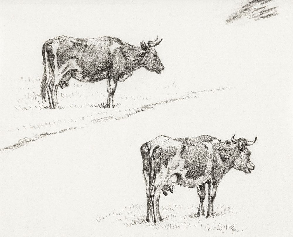Two sketches of a standing cow (1821) by Jean Bernard (1775-1883). Original from The Rijksmuseum. Digitally enhanced by…