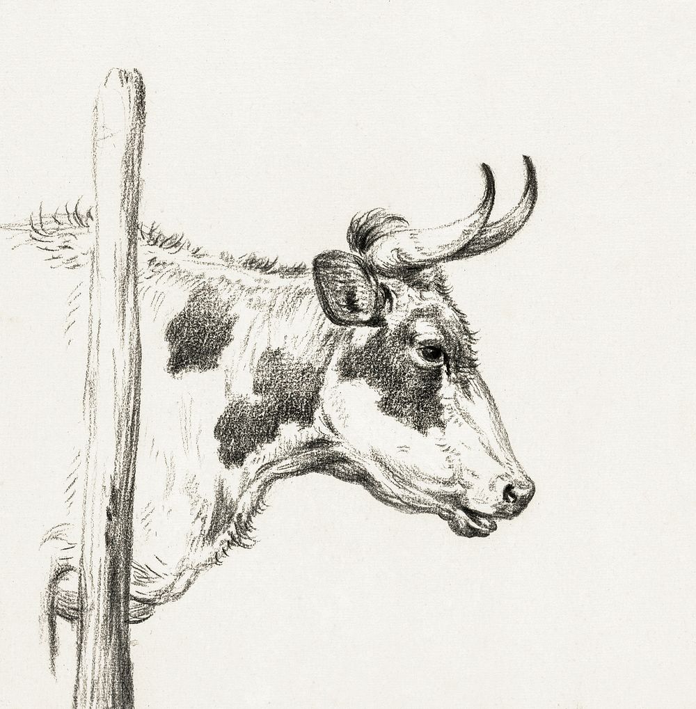 Head of a cow, to the right (1820) by Jean Bernard (1775-1883). Original from The Rijksmuseum. Digitally enhanced by…