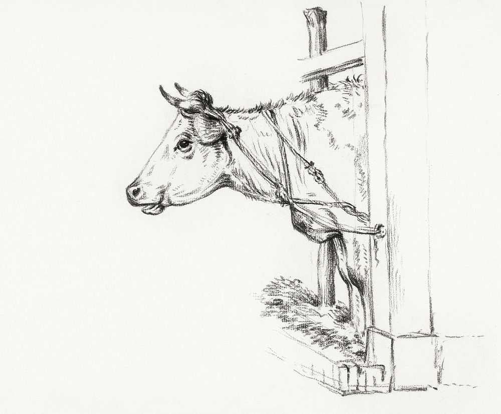 Head of a cow, to the left (1817) by Jean Bernard (1775-1883). Original from The Rijksmuseum. Digitally enhanced by rawpixel.