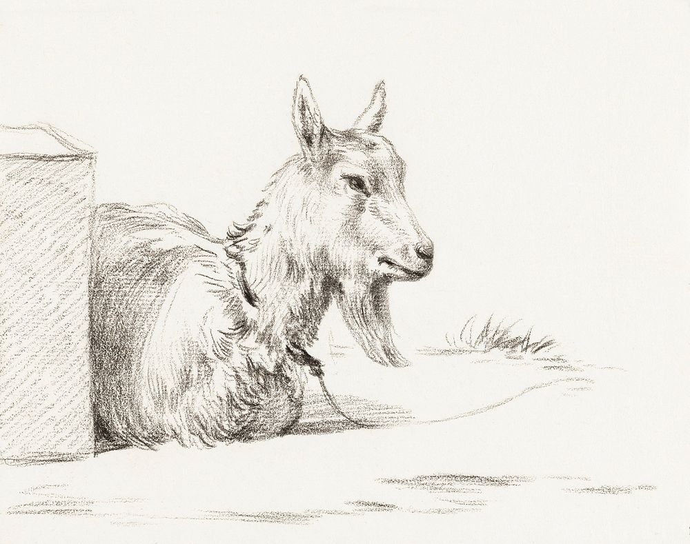 Goat half lying in a pen (1810) by Jean Bernard (1775-1883). Original from The Rijksmuseum. Digitally enhanced by rawpixel.