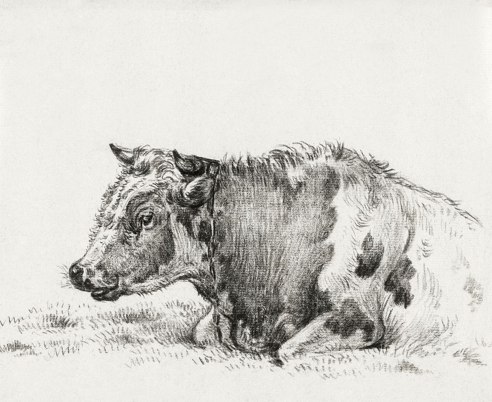 Lying cow (1828) by Jean Bernard (1775-1883). Original from The Rijksmuseum. Digitally enhanced by rawpixel.