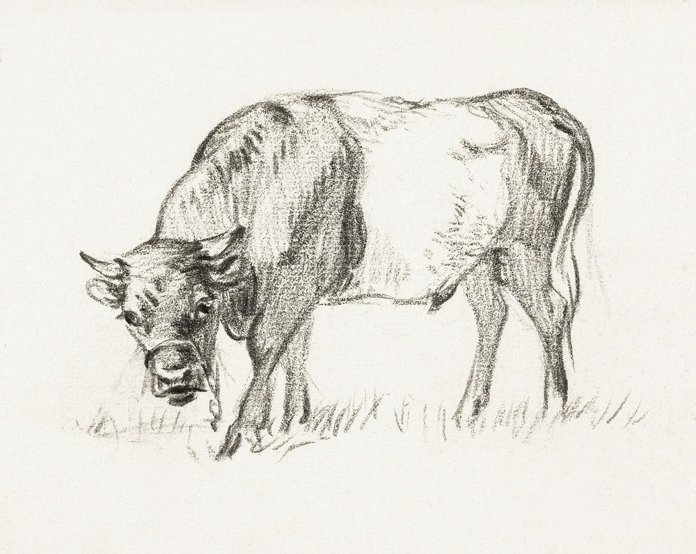 Grazing bull, Jan van Ravenswaay by Jean Bernard (1775-1883). Original from The Rijksmuseum. Digitally enhanced by rawpixel.