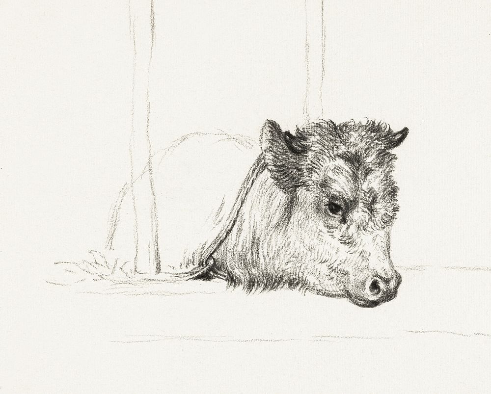 Head of a cow (1818) by Jean Bernard (1775-1883). Original from The Rijksmuseum. Digitally enhanced by rawpixel.