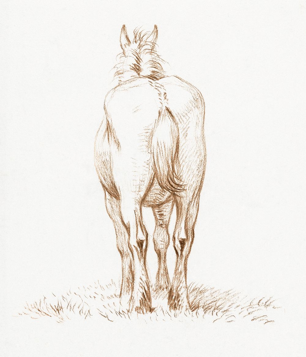 Standing horse (1815) by Jean Bernard (1775-1883). Original from The Rijksmuseum. Digitally enhanced by rawpixel.