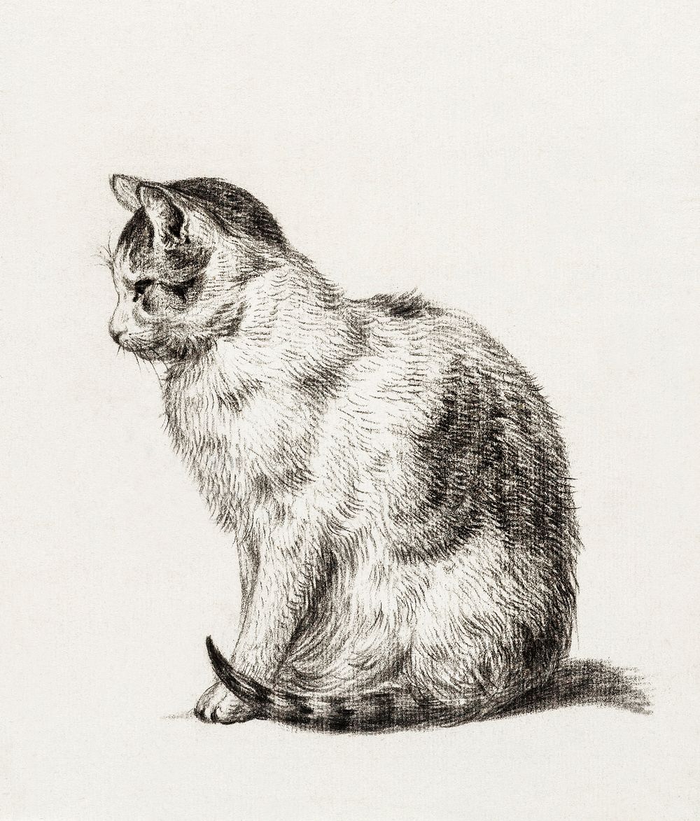 Sitting cat (1819) by Jean Bernard (1775-1883). Original from The Rijksmuseum. Digitally enhanced by rawpixel.